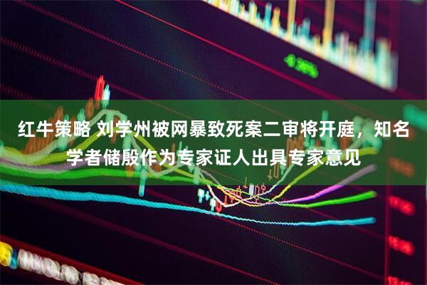红牛策略 刘学州被网暴致死案二审将开庭，知名学者储殷作为专家证人出具专家意见