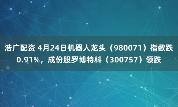 浩广配资 4月24日机器人龙头（980071）指数跌0.91%，成份股罗博特科（300757）领跌