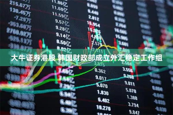 大牛证券港股 韩国财政部成立外汇稳定工作组