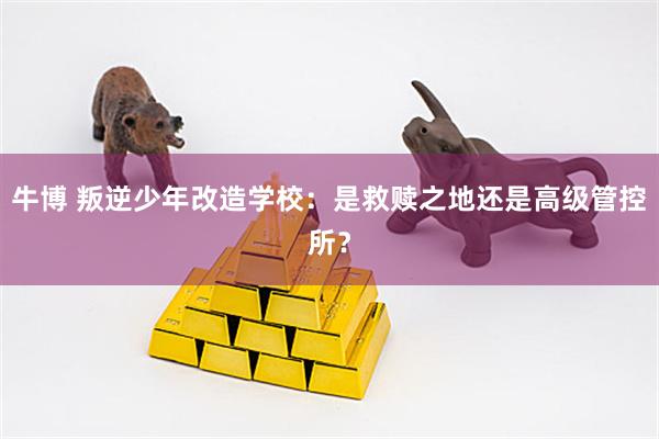 牛博 叛逆少年改造学校：是救赎之地还是高级管控所？