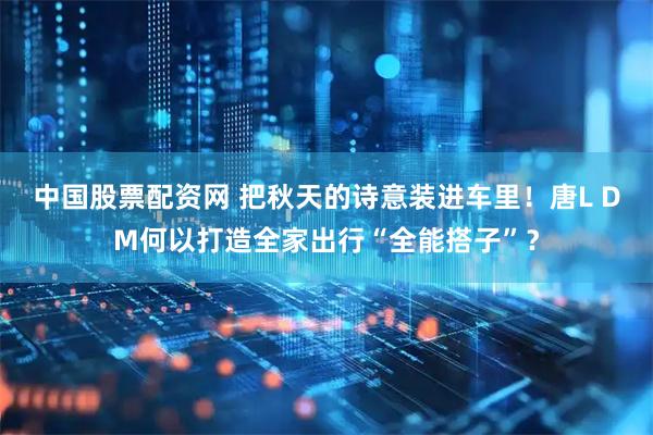 中国股票配资网 把秋天的诗意装进车里！唐L DM何以打造全家出行“全能搭子”？